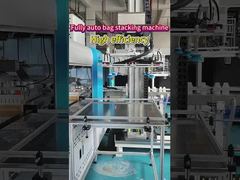 Highly Versatile Design Bottle Palletizer Machine Auto Linear Stacking 2000-2500mm Height