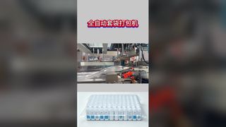 Automatic Secondary Bagging Packaging Machine